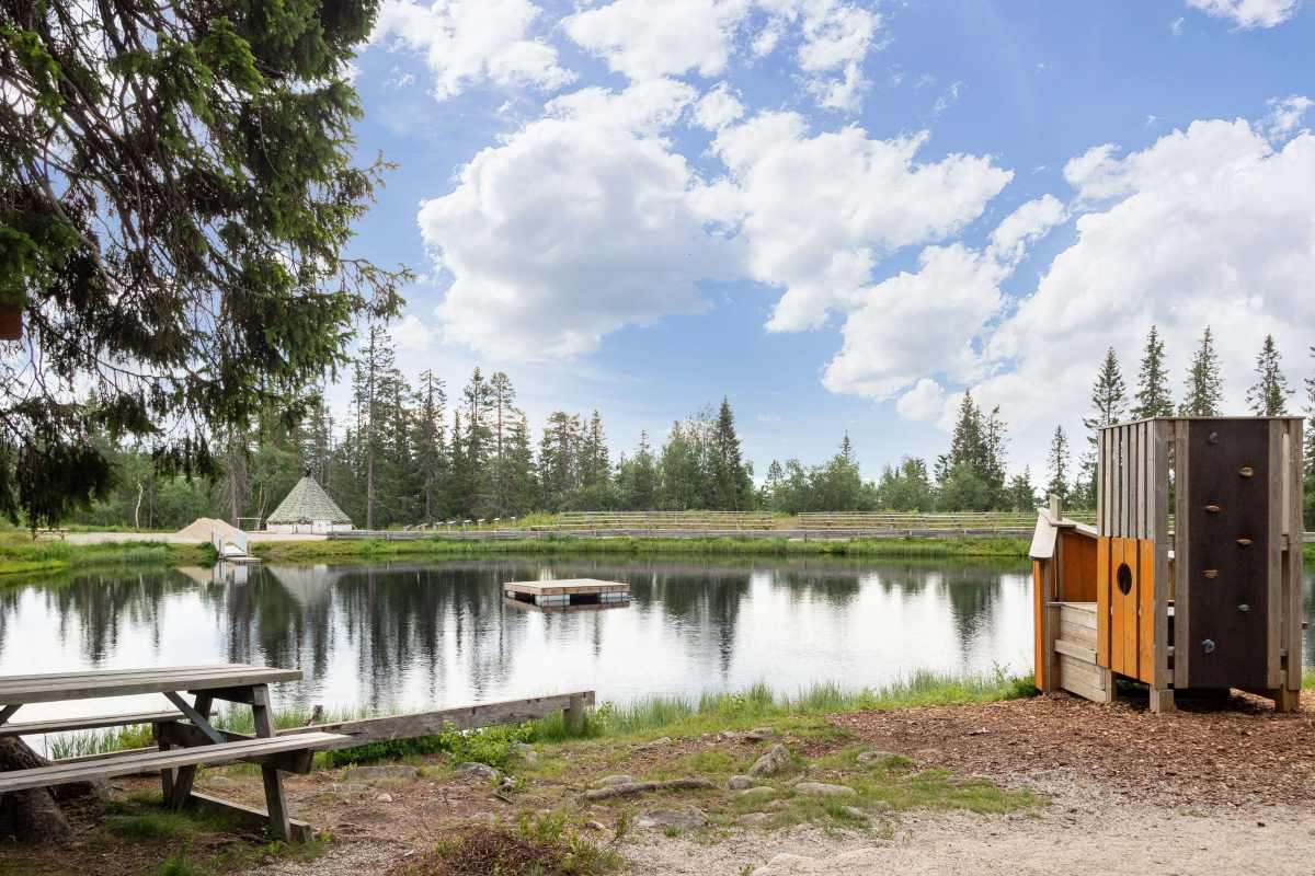 Skog og natur ved Budor