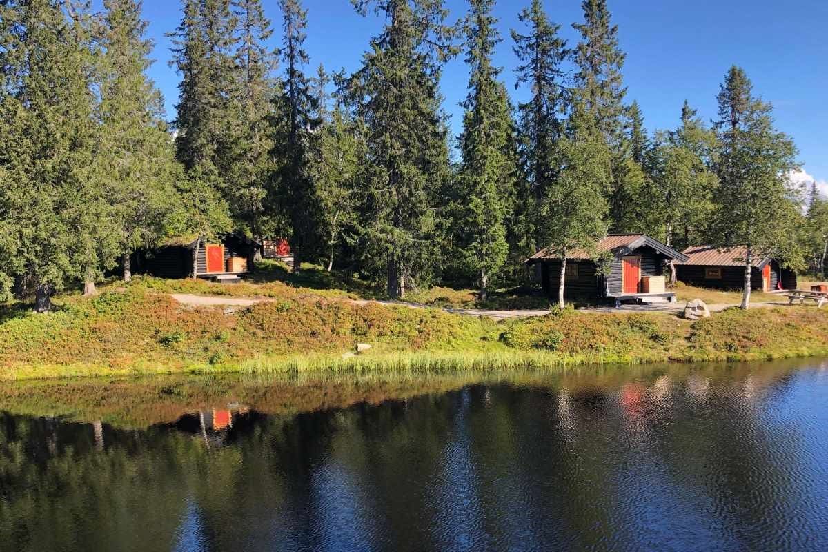 Skog og natur ved Budor