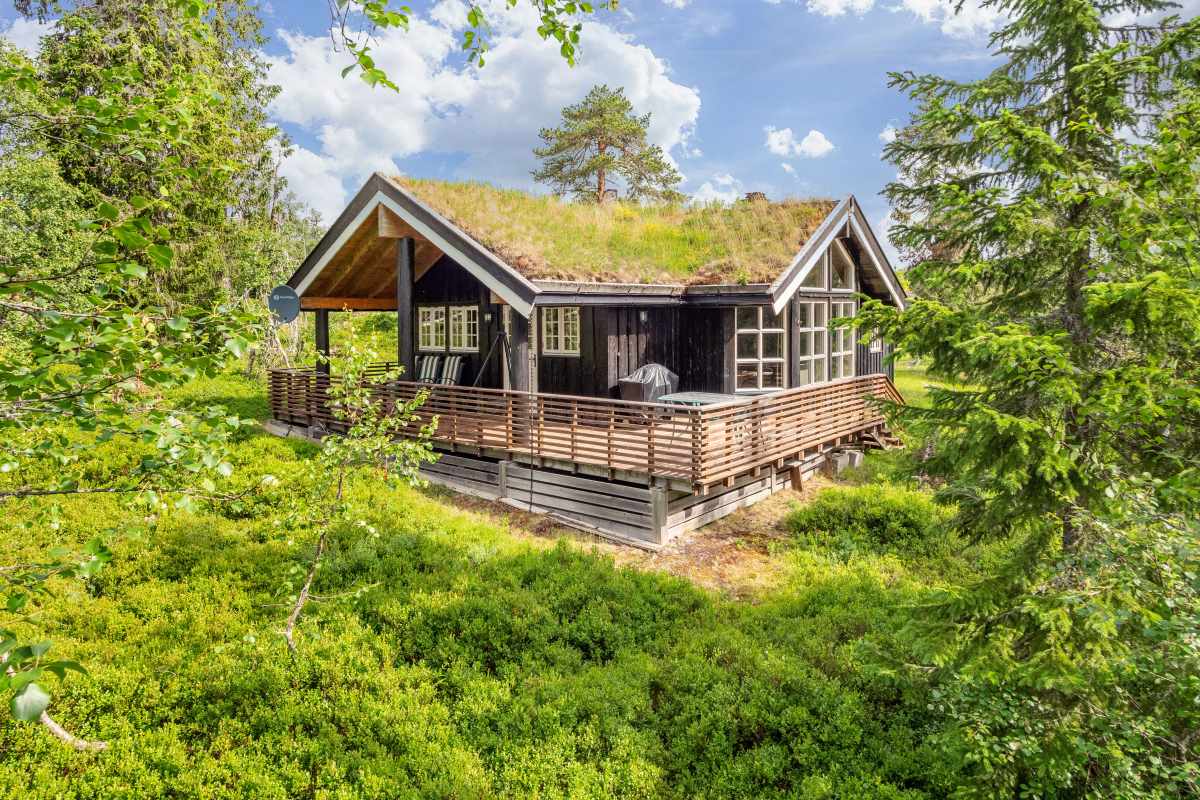 Bjørnen hytte med gangavstand til Gjestegården og Rondanestien på Budor