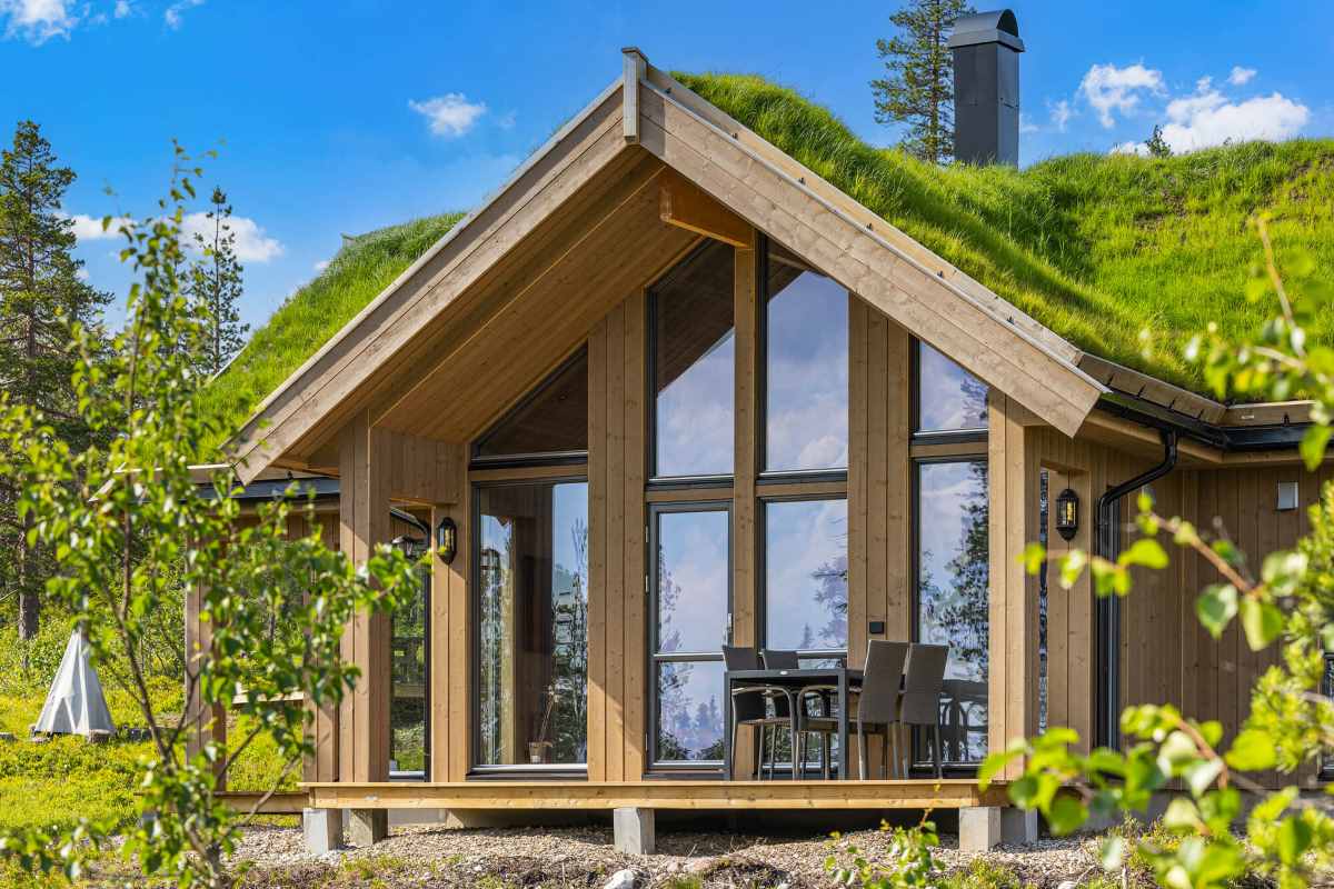 Blåbær hytte med langrennsløype 30 meter unna på Budor