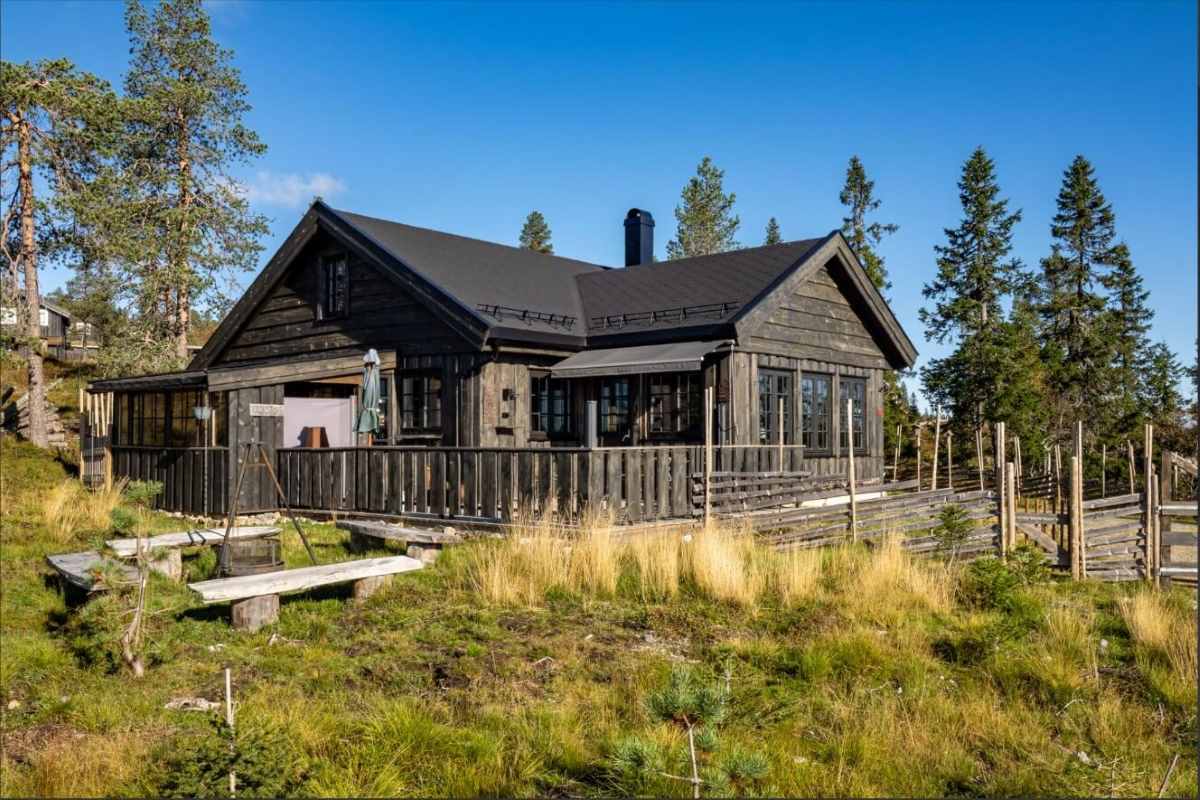 Blåbærbu - hytte med langsrennsløyper rett utenfor døren