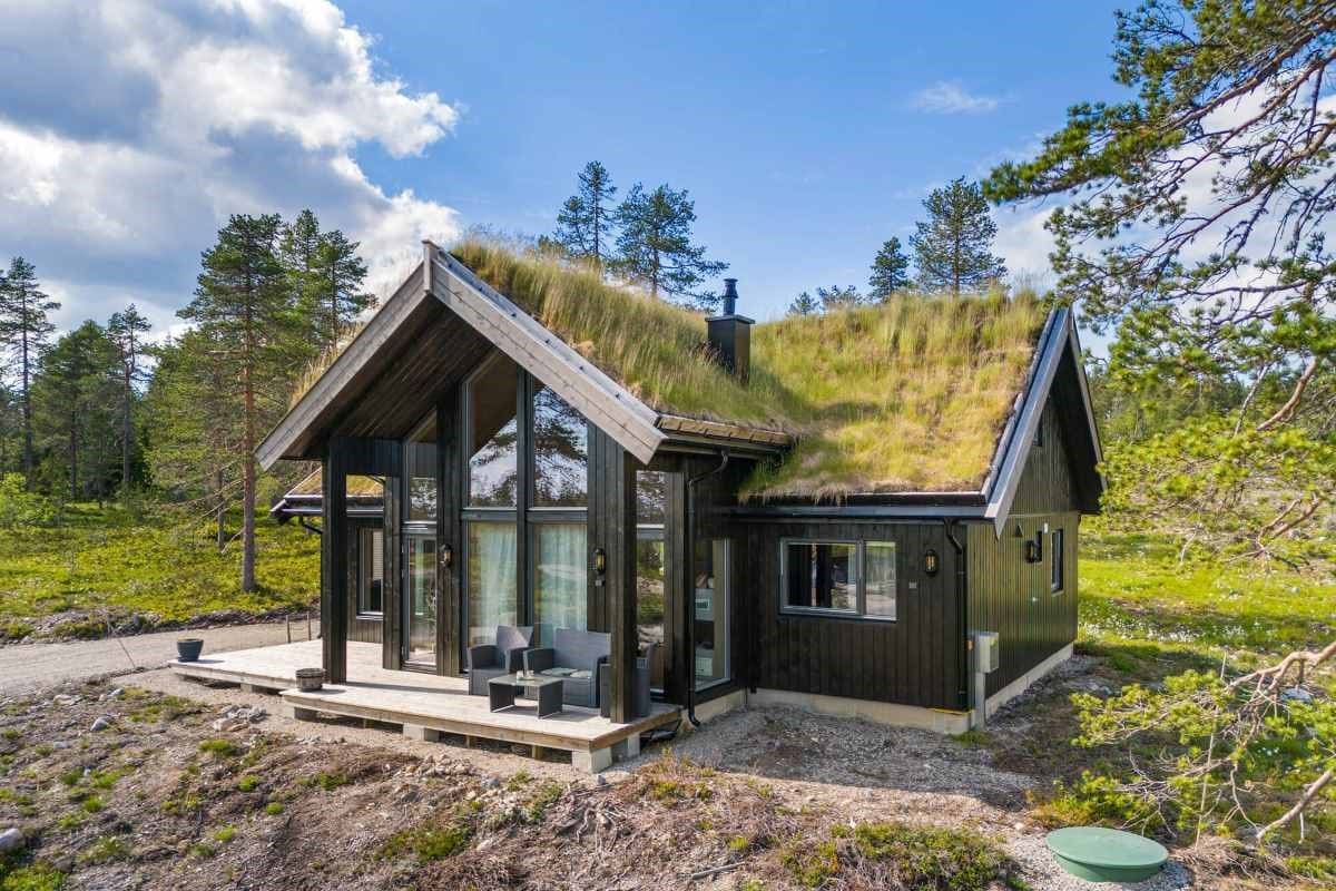 Blåbærtoppen hytte med jacuzzi og skiløyper 30 meter fra døren på Budor