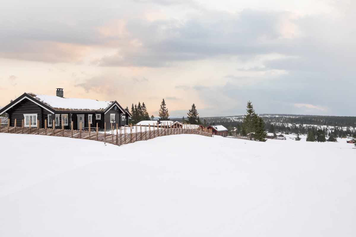 Harestua sett fra alpintbakken på Budor
