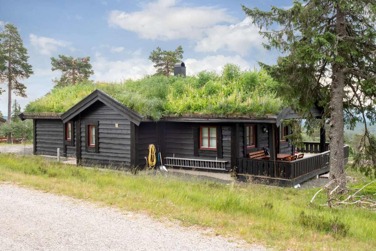 Hønsehauken hytte med badstu og skogsutsikt på Budor