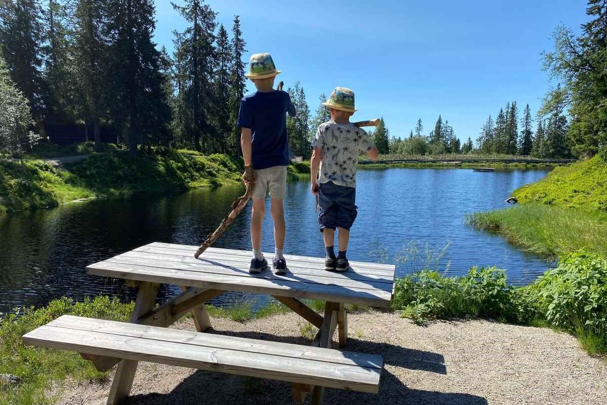 Hytteleie på Budor — turstier og bading, 60 min fra Gardermoen