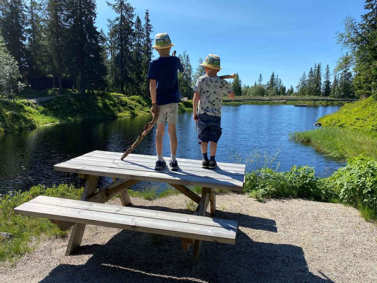Hytteleie på Budor — turstier og bading, 60 min fra Gardermoen