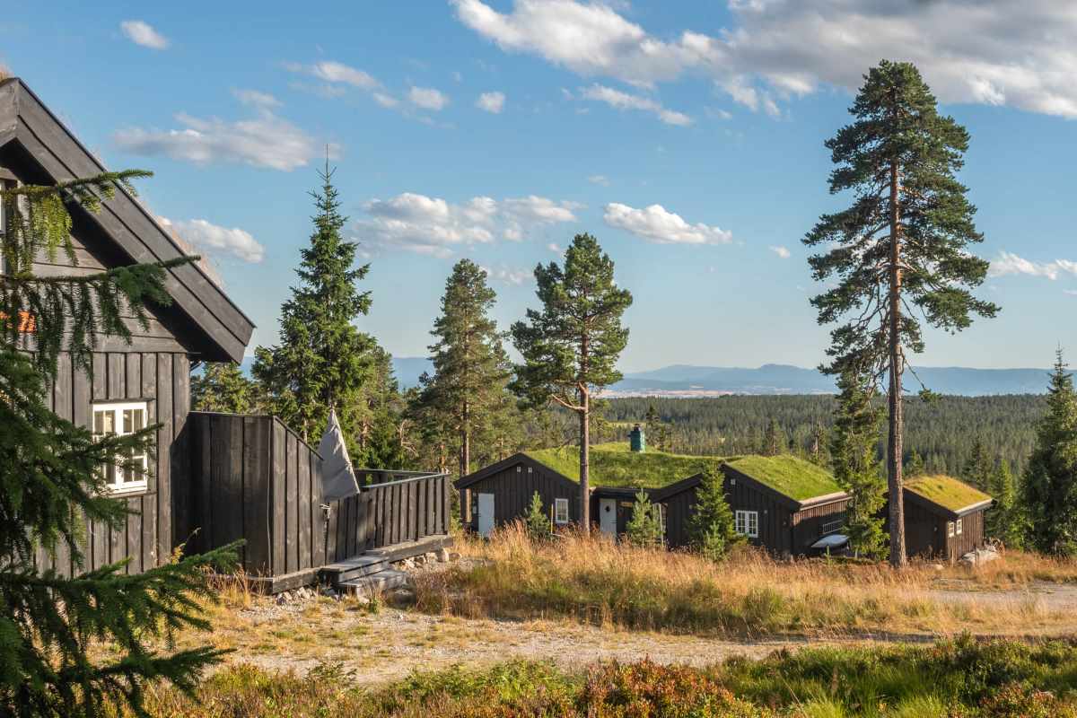 Utsikt fra tomta til Lirypa på Budor
