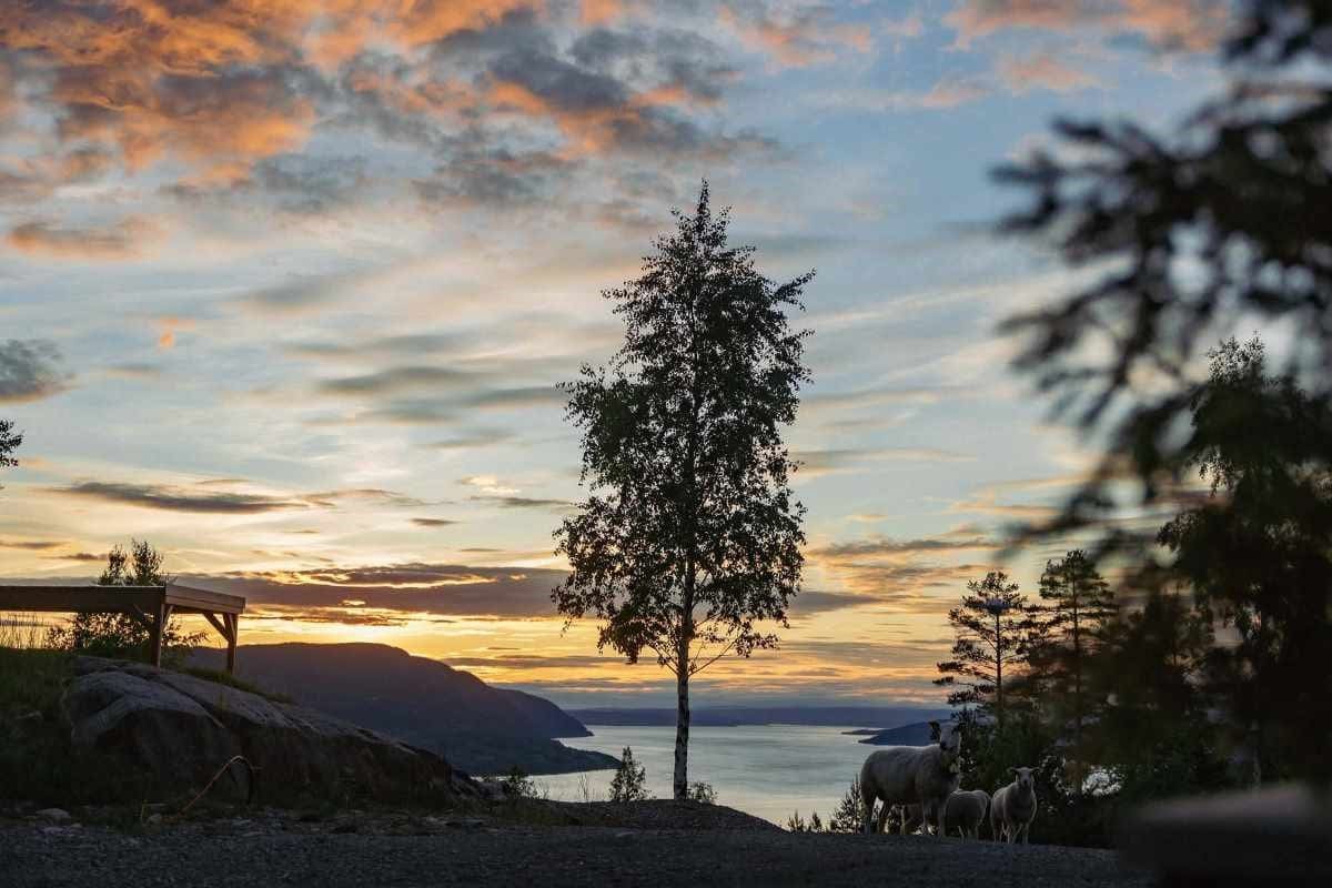 Mjøsa og natur i Mjøsli