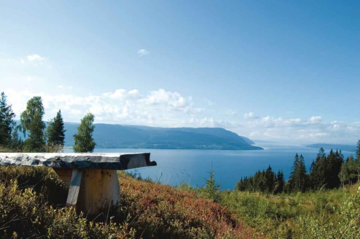 Mjøsa og natur i Mjøsli