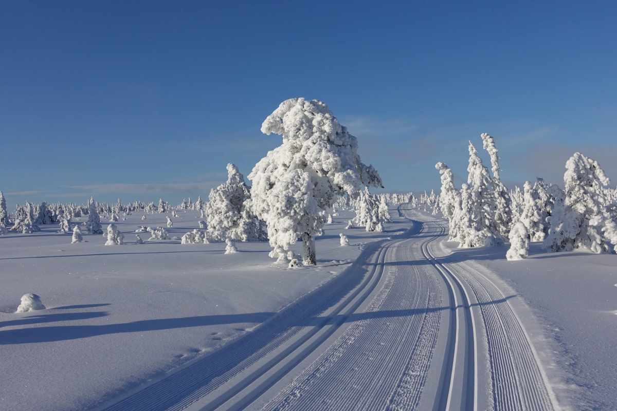 Skiløpyer og vinter på Budor