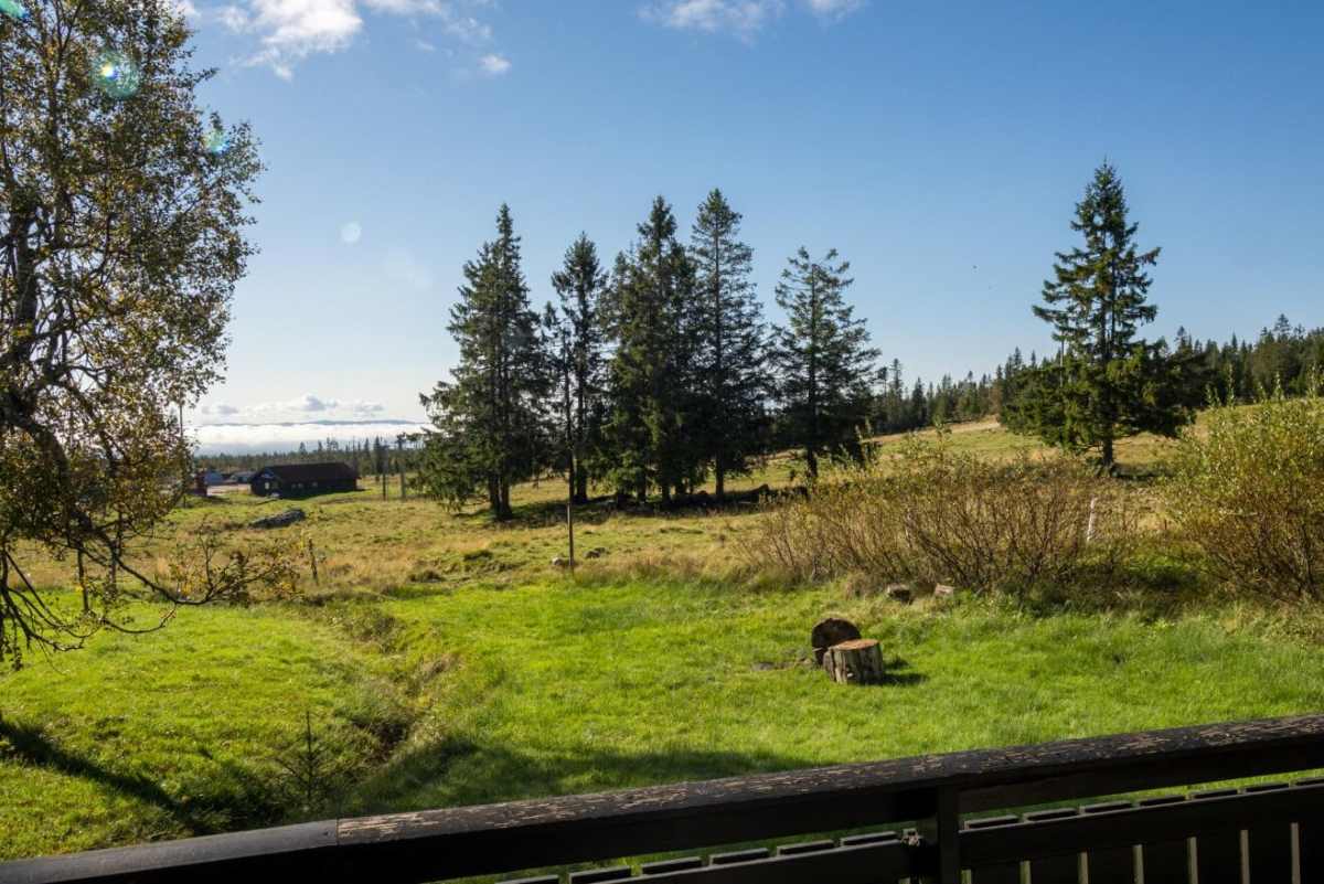 utsikt mot alpintbakken fra terrassen på Reven på Budor
