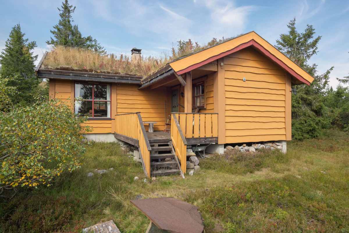 Tiuren autentisk hytte i Svanelia på Budor